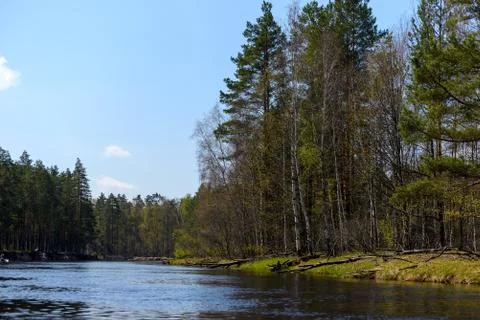 Autumn evening landscape with the river and a beautiful tree 写真素材