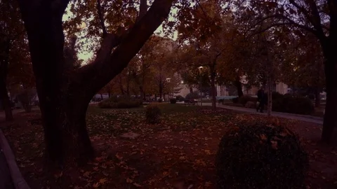 Autumn evening park with trees in the Turkish city of Konya Stock Footage 82293759