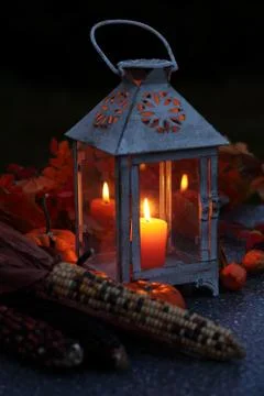 Autumn evening Stock Photos