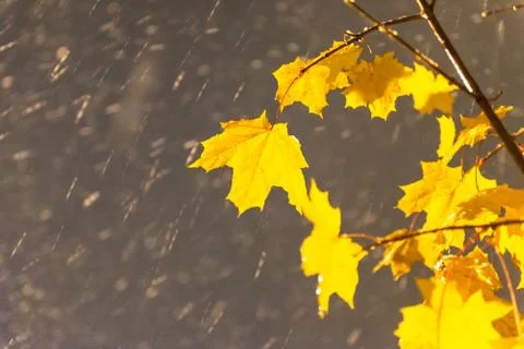 Autumn evening Stock Photos