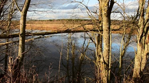 Autumn evening by the river Stock Footage 118906776