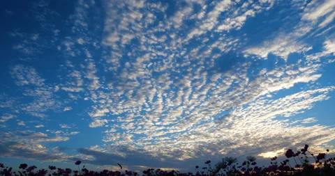 Autumn Evening Sky Stock Footage 141247220