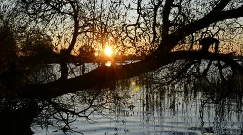 Autumn evening sunset in the lake Stock Footage 9762298