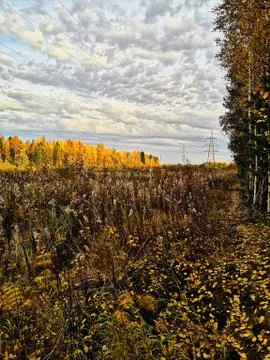Autumn expanses under the clouds Foto stock
