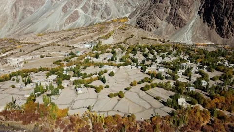 Autumn explodes in color across a quiet Himalayan village in suru valley in Stock Footage 310781988
