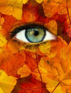 Autumn eye Stock Illustration