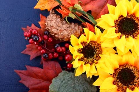 Autumn Fall Background with Decorated Borders. Stock Photos