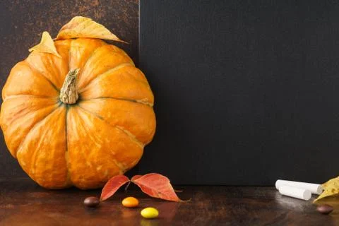 Autumn, fall background with empty blank black chalkboard. Stock Photos