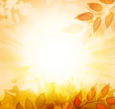 Autumn Fall Background Stock Illustration