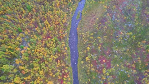 Autumn / Fall Colorful Trees Forest Drone 4K Vídeo Stock 252191493