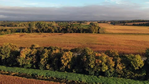 Autumn Fall colors Stock Footage 140366752