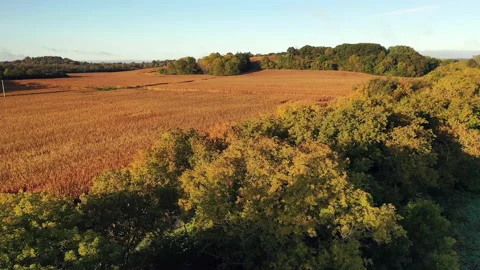 Autumn Fall colors Stock Footage 140367205