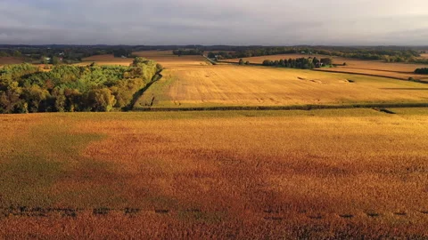 Autumn Fall colors Stock Footage 140367405