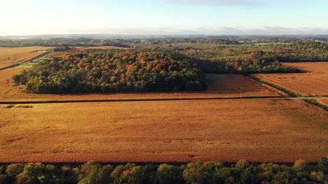 Autumn Fall colors Stock Footage 140367836