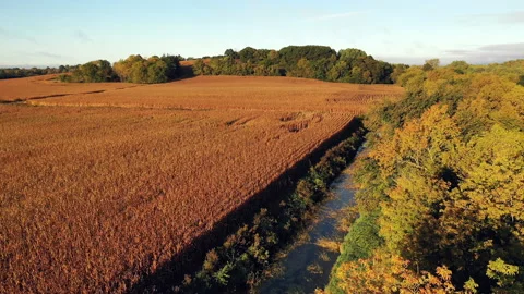 Autumn Fall colors Stock Footage 140368084