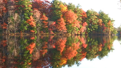 Autumn Fall Colors Reflections Stock Footage 47970882
