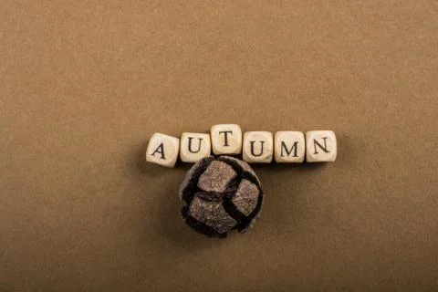 Autumn fall composition or concept and word Autumn Stock Photos
