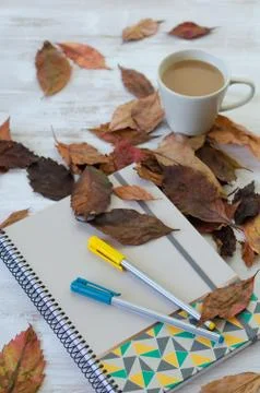 Autumn, fall concept. Stock Photos