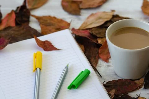 Autumn, fall concept. Stock Photos