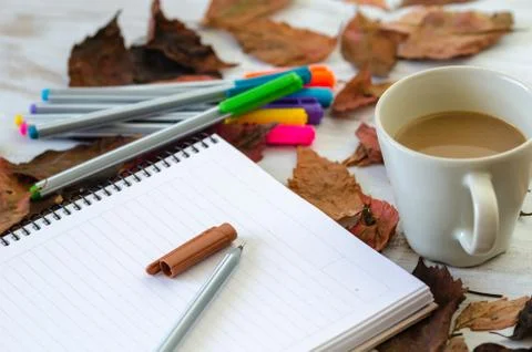 Autumn, fall concept. Stock Photos