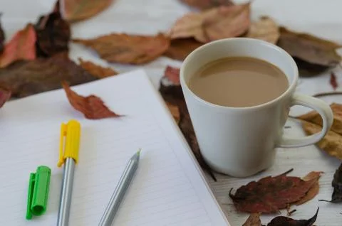 Autumn, fall concept. Stock Photos