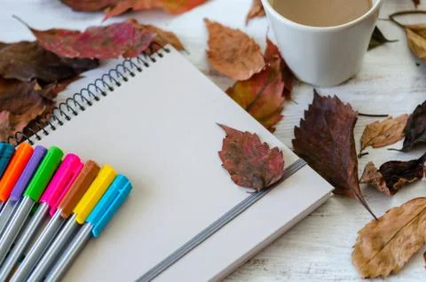 Autumn, fall concept. Stock Photos
