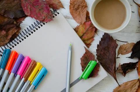 Autumn, fall concept. Stock Photos