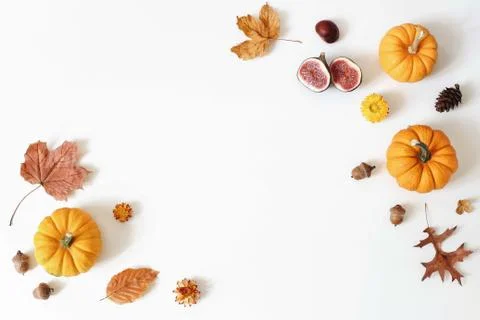 Autumn, fall creative composition of orange pumpkins and figs. Colorful maple 写真素材