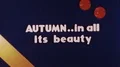 AUTUMN Fall Falling Leaves Vintage Old Home Movie Film Title Graphic Movie HD Footage