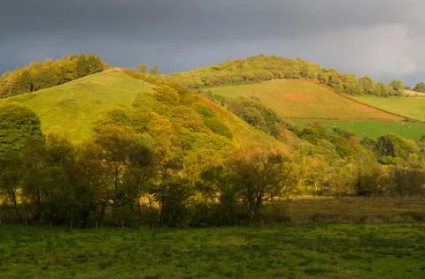 Autumn Fall Fields and Trees, Wales, United Kingdom. Stock Photos
