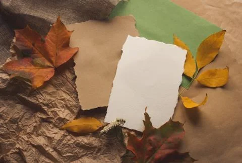 Autumn fall flat lay top view composition. Yellow maple leaves and white craft Stock Photos