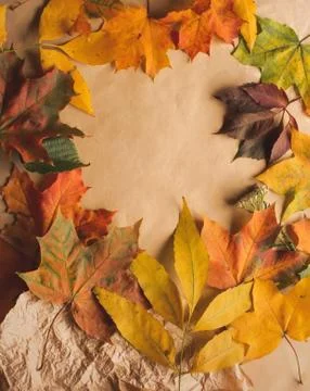 Autumn fall flat lay top view composition. Yellow, red and orange maple leaves Stock Photos