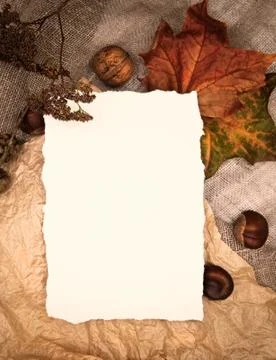 Autumn fall flat lay top view composition. Yellow maple leaves and white craft Stock Photos
