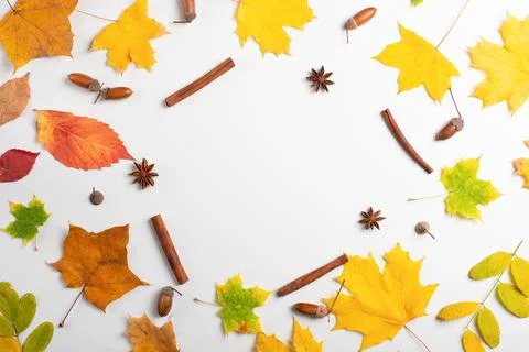 Autumn fall flat lay, top view creative pattern arrangement. Stock Photos