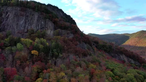 Autumn Fall Foliage Colors Stock Footage 159808696