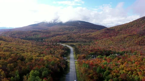 Autumn Fall Foliage Colors Stock Footage 159808769