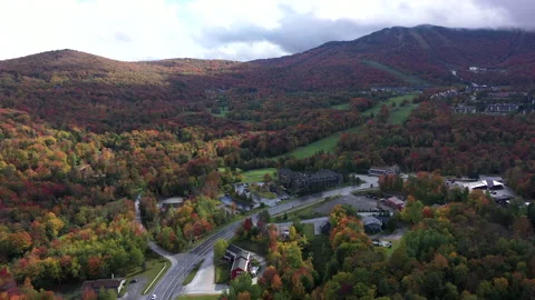 Autumn Fall Foliage Colors Stock Footage 159808828