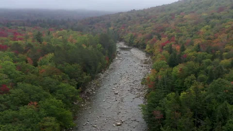 Autumn Fall Foliage Colors Stock Footage 159808858