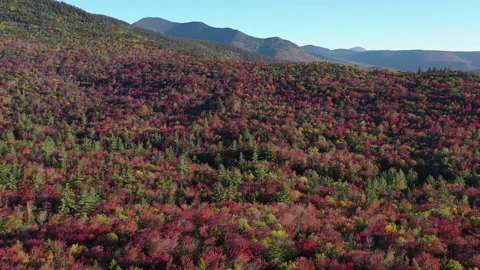 Autumn Fall Foliage Colors Stock Footage 159808971