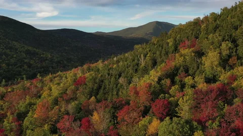 Autumn Fall Foliage Colors Stock Footage 159809105