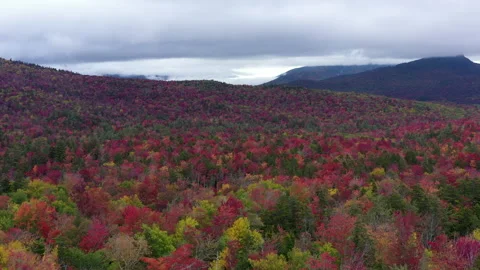Autumn Fall Foliage Colors Reds Stock Footage 159808942