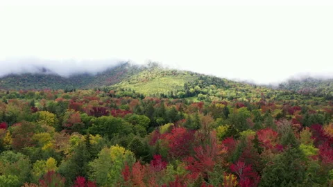 Autumn Fall Foliage Colors Sun Peak Stock Footage 159808933