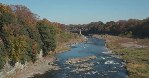 Autumn fall foliage trees and river Stock Footage 294638564