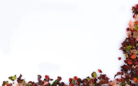 Autumn (fall) frame Stock Photos