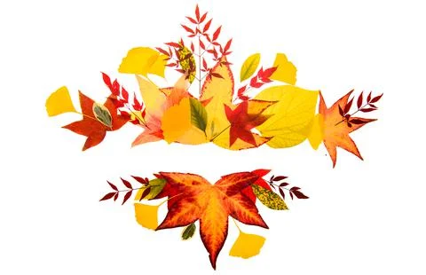 Autumn fall frames borders. Fall leaf banner. Thanksgiving background, fall Stock Photos