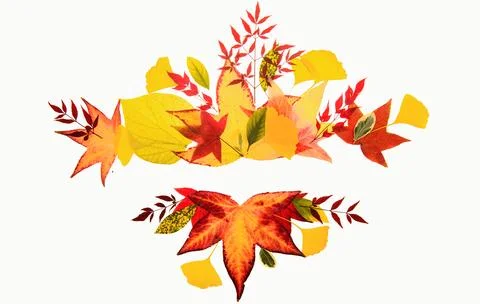 Autumn fall frames borders. Fall leaf banner. Thanksgiving background, fall Stock Photos
