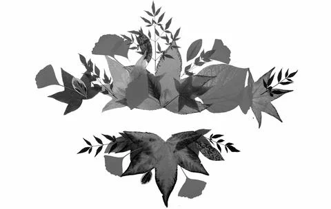 Autumn fall frames borders. Fall leaf banner. Thanksgiving background, fall Stock Photos