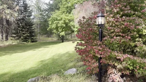 Autumn Fall Lampost in the trees Stock Footage 287495106