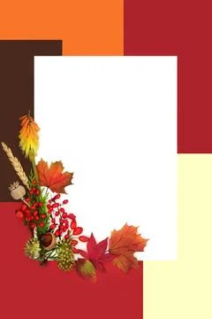 Autumn Fall Leaf Colors Red Berry Background Stock Photos