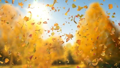 Autumn Fall Leafs Sideways - 1080p Falling Leaves Video Background Loop Stock Footage 81660228